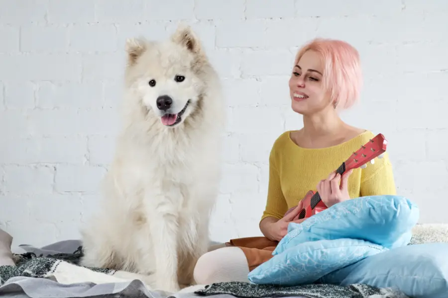 szolgáltatások akusztikai mérés